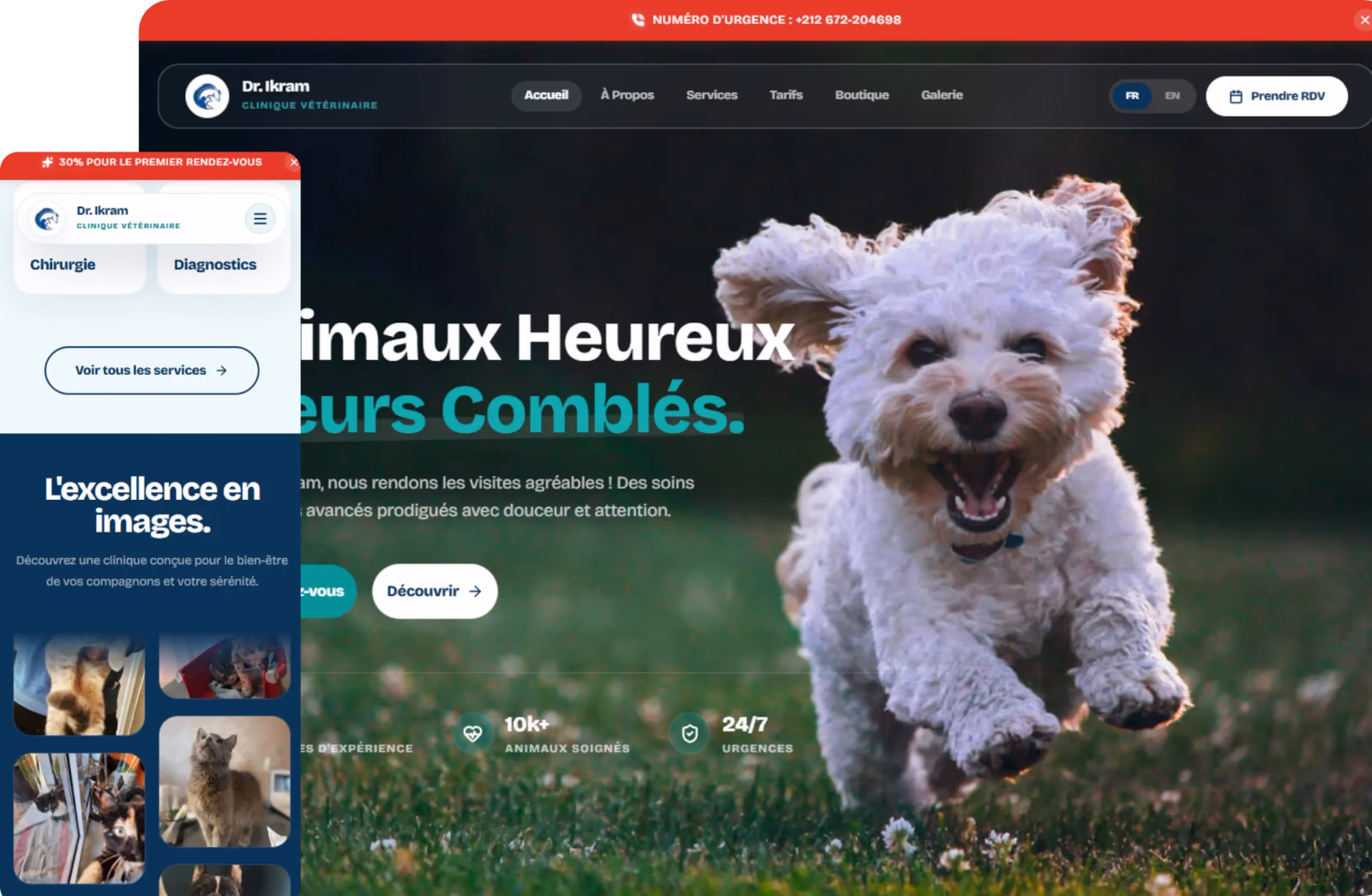 Dr. Ikram Vétérinaire website