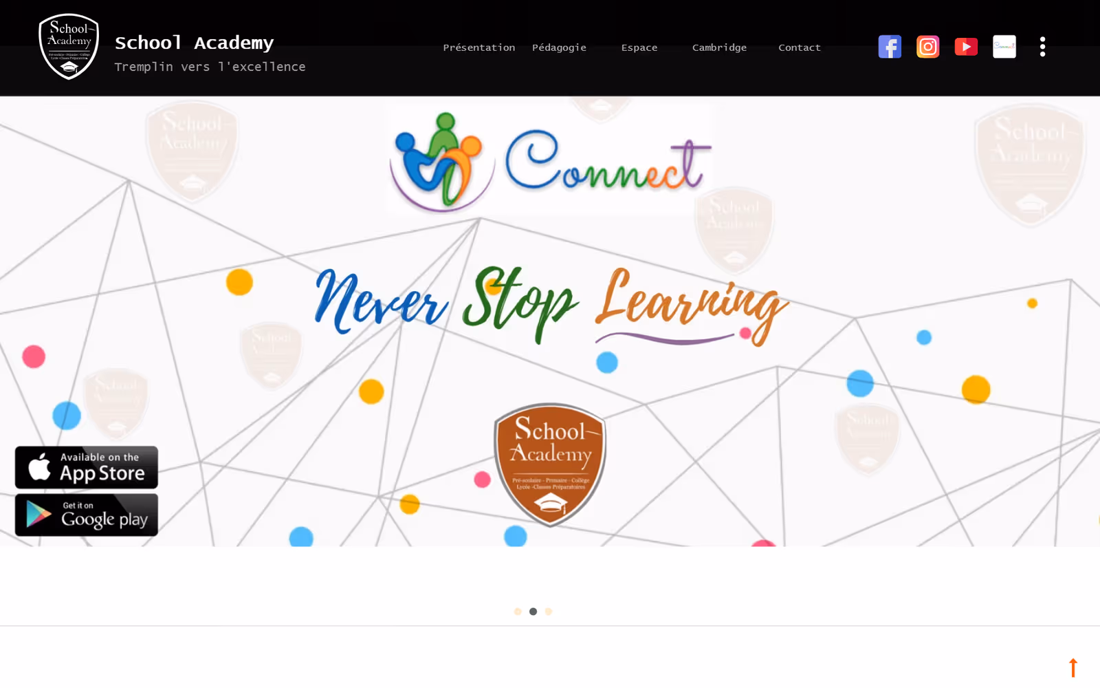 School Academy page section on desktop